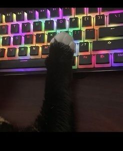 Meet your Posher, Hillary